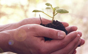 galambiental1d