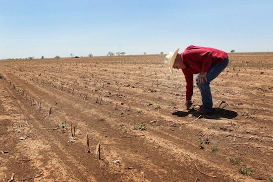 A tecnologia permite que a agricultura produza mais e melhor com cada vez menos trabalhadores. (Foto: Getty Images) A tecnologia permite que a agricultura produza mais e melhor com cada vez menos trabalhadores. (Foto: Getty Images)