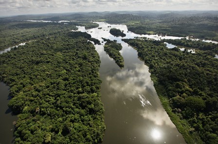 Universidade Nilton Luís oferece doutorado em Aquicultura