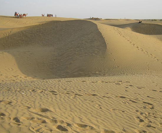 DESERTO - Estude sobre as características da vegetação. DESERTO - Estude sobre as características da vegetação.