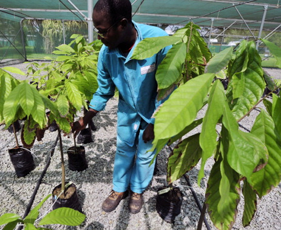 ESPECIALISTA EM AGROECOLOGIA