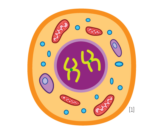 Guia do Estudante - Biologia - 2013 Guia do Estudante - Biologia - 2013