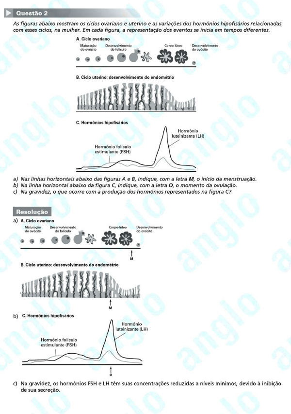 Fuvest 2012: Questão 2 (segunda fase) – conhecimentos específicos – prova de biologia