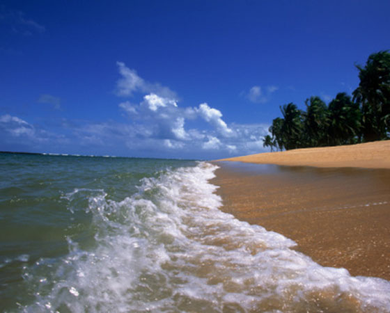 Esse clima cobre quase todo o litoral do país: começa no Rio Grande do Norte e vai até o Paraná. A quantidade de chuvas varia conforme a latitude da localidade. Por exemplo, enquanto no Nordeste chove muito no inverno, no Sudeste chove mais no verão. A variação da temperatura é maior na porção mais ao sul do litoral. No Rio de Janeiro, oscila entre 21,5ºC e 26,5º e, em João Pessoa, entre 24°C e 28°C (foto: Getty Images)