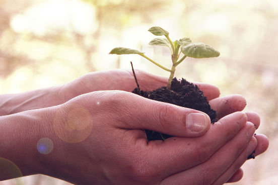 Do efeito estufa à extinção de diversas espécies, o planeta está vivendo momentos difíceis. Mas é bom lembrar que nunca houve tanto interesse em sustentabilidade. Na opinião de Daphne Koller, presidente da plataforma de ensino online Coursera, a atenção global sobre o meio ambiente cresceu significativamente nos últimos 20 anos. O assunto não se restringe aos muros da academia: veja a seguir 10 cursos online oferecidos pelo Coursera para quem quer aprender mais sobre a natureza e explorar formas de protegê-la. Todos são gratuitos. (Imagem: Thinkstock) Do efeito estufa à extinção de diversas espécies, o planeta está vivendo momentos difíceis. Mas é bom lembrar que nunca houve tanto interesse em sustentabilidade. Na opinião de Daphne Koller, presidente da plataforma de ensino online Coursera, a atenção global sobre o meio ambiente cresceu significativamente nos últimos 20 anos. O assunto não se restringe aos muros da academia: veja a seguir 10 cursos online oferecidos pelo Coursera para quem quer aprender mais sobre a natureza e explorar formas de protegê-la. Todos são gratuitos. (Imagem: Thinkstock)