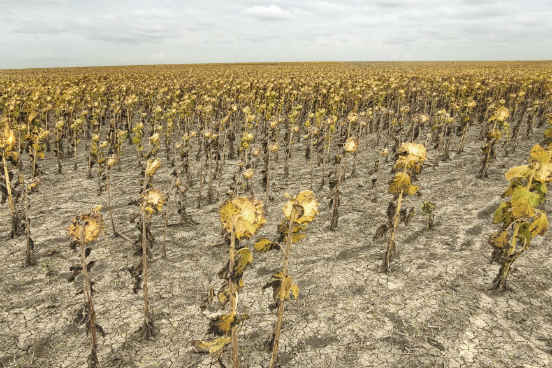 Todo ano, cerca de um terço de toda a comida produzida no mundo é desperdiçada. O objetivo das aulas é apresentar um panorama sobre a perda de grãos após colheitas em todo o mundo. O professor aborda as principais razões técnicas, físicas e sociais para o problema - e como lutar contra ele. Oferecido pela University of Illinois at Urbana-Champaign, o curso dura 4 semanas. Para saber mais, clique em Leia mais. (Imagem: Thinkstock) Todo ano, cerca de um terço de toda a comida produzida no mundo é desperdiçada. O objetivo das aulas é apresentar um panorama sobre a perda de grãos após colheitas em todo o mundo. O professor aborda as principais razões técnicas, físicas e sociais para o problema - e como lutar contra ele. Oferecido pela University of Illinois at Urbana-Champaign, o curso dura 4 semanas. Para saber mais, clique em Leia mais. (Imagem: Thinkstock)