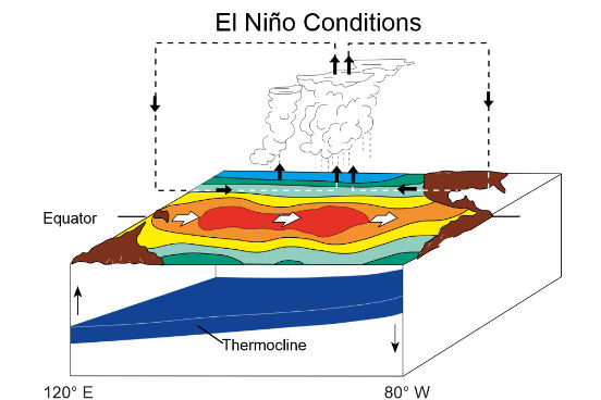 O El Niño é provocado pela diferença de temperatura nas águas do oceano Pacífico e pela redução dos ventos alísios na região equatorial. O resultado disso é a diminuição da ressurgência das águas profundas do oceano, o que faz com que as águas na costa oeste da América do Sul fiquem mais quentes. Apesar de acontecer no Oceano Pacífico, os efeitos do El Niño podem ser sentidos por todo o mundo. (Imagem: Wikimedia Commons)