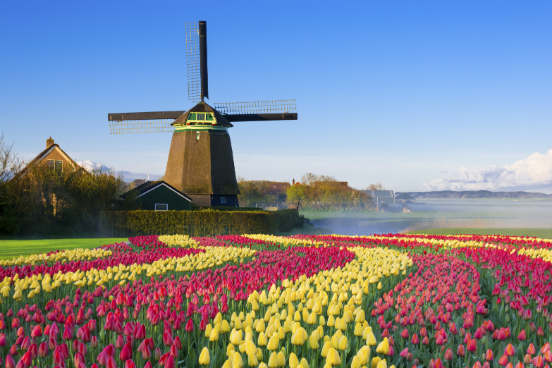 <strong>Holanda. </strong>Segundo o próprio governo holandês, são oferecidos no país mais de 2100 programas em inglês, desde bacharelados até mestrados. Além disso, a comunicação com a população local não tem por que ser difícil para quem não fala holandês, já que 90% dos residentes no país falam inglês. A agência governamental Study in Holland possui, inclusive, um site para que os estudantes encontrem possam encontrar o curso ideal em inglês: https://www.studyinholland.nl/ (Imagem: iStock) <strong>Holanda. </strong>Segundo o próprio governo holandês, são oferecidos no país mais de 2100 programas em inglês, desde bacharelados até mestrados. Além disso, a comunicação com a população local não tem por que ser difícil para quem não fala holandês, já que 90% dos residentes no país falam inglês. A agência governamental Study in Holland possui, inclusive, um site para que os estudantes encontrem possam encontrar o curso ideal em inglês: https://www.studyinholland.nl/ (Imagem: iStock)