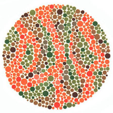 Quem tem a visão normal ou uma fraca deficiência não vê nada. Quem tem dificuldades para reconhecer o verde e o vermelho vê o número 5. <a href="https://gutenberg.guiadoestudante.abril.com.br/vestibular/noticias/descobrir-daltonismo-pode-melhorar-vida-escolar-545415.shtml" target="_blank">Leia mais sobre daltonismo</a>. Quem tem a visão normal ou uma fraca deficiência não vê nada. Quem tem dificuldades para reconhecer o verde e o vermelho vê o número 5. <a href="https://gutenberg.guiadoestudante.abril.com.br/vestibular/noticias/descobrir-daltonismo-pode-melhorar-vida-escolar-545415.shtml" target="_blank">Leia mais sobre daltonismo</a>.