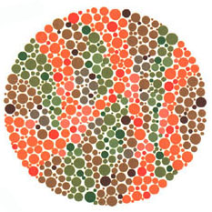 Quem tem a visão normal ou uma fraca deficiência não vê nada. Quem tem dificuldades para reconhecer o verde e o vermelho vê o número 45. <a href="https://gutenberg.guiadoestudante.abril.com.br/vestibular/noticias/descobrir-daltonismo-pode-melhorar-vida-escolar-545415.shtml" target="_blank">Leia mais sobre daltonismo</a>. Quem tem a visão normal ou uma fraca deficiência não vê nada. Quem tem dificuldades para reconhecer o verde e o vermelho vê o número 45. <a href="https://gutenberg.guiadoestudante.abril.com.br/vestibular/noticias/descobrir-daltonismo-pode-melhorar-vida-escolar-545415.shtml" target="_blank">Leia mais sobre daltonismo</a>.
