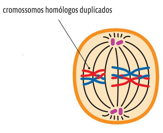 Guia do Estudante - Biologia - 2013