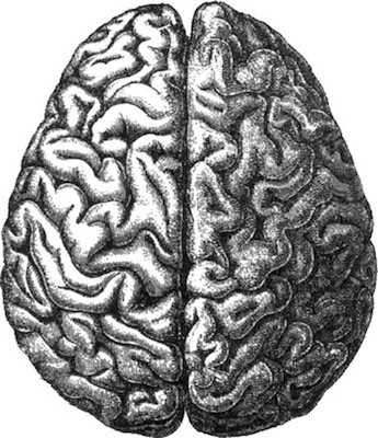 NEUROPSICOLOGIA - Atua no diagnóstico, tratamento e pesquisa da cognição, emoções, personalidade e comportamento com foco na relação entre esses aspectos e o funcionamento cerebral.