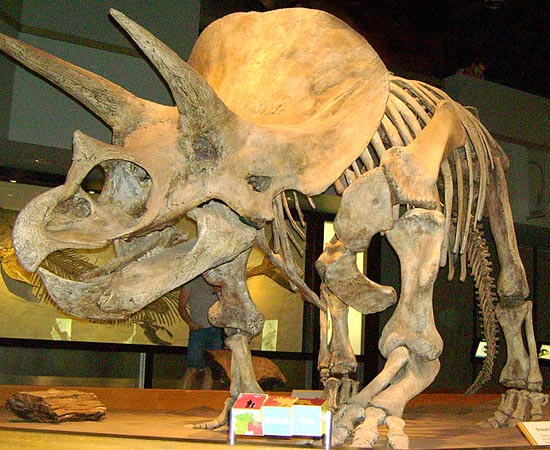 ORIGEM DA VIDA NA TERRA - Estude sobre a Era Arqueozoica, a Era Proterozoica, a Era Paleozoica, a Era Mesozoica e a Era Cenozoica. ORIGEM DA VIDA NA TERRA - Estude sobre a Era Arqueozoica, a Era Proterozoica, a Era Paleozoica, a Era Mesozoica e a Era Cenozoica.