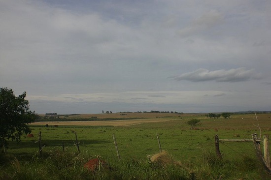 PAMPA - No Brasil, está presente somente em 63% do território do Rio Grande do Sul, mas se estende pela Argentina e Uruguai. O bioma Pampa é marcado por clima chuvoso, temperaturas negativas no inverno e vegetação constituída de ervas e arbustos.