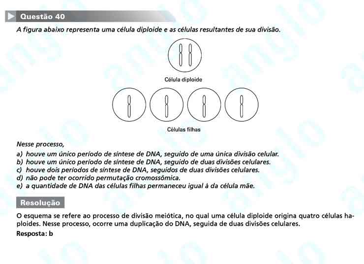 FUVEST 2011 – Primeira Fase – Questão 40