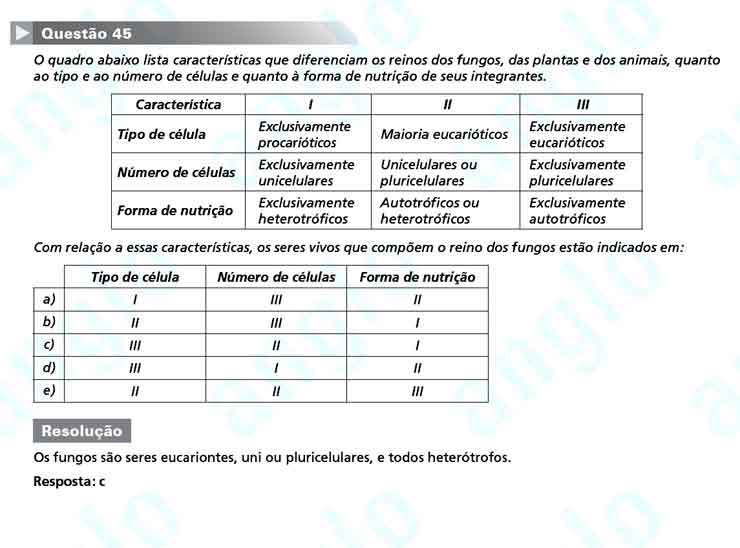 FUVEST 2011 – Primeira Fase – Questão 45