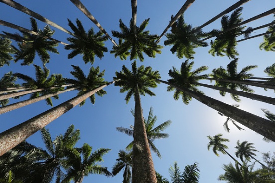 O território do Rio de Janeiro já foi ocupado por indígenas e franceses. Os últimos chegaram a fundar uma colônia, denominada França Antártida. (Imagem: Getty Images) O território do Rio de Janeiro já foi ocupado por indígenas e franceses. Os últimos chegaram a fundar uma colônia, denominada França Antártida. (Imagem: Getty Images)