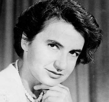 As pesquisas de Rosalind Franklin ajudaram (e muito) a entendermos a estrutura do DNA. Ela também pesquisou o vírus da poliomielite. Infelizmente ela morreu cedo, aos 37 anos.