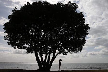 Unesp oferece curso sobre Sustentabilidade a distância