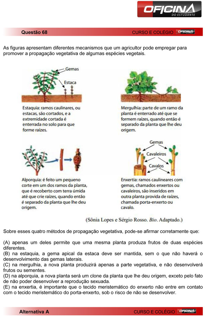 Unesp meio de ano 2012: Questão 68 – Primeira fase