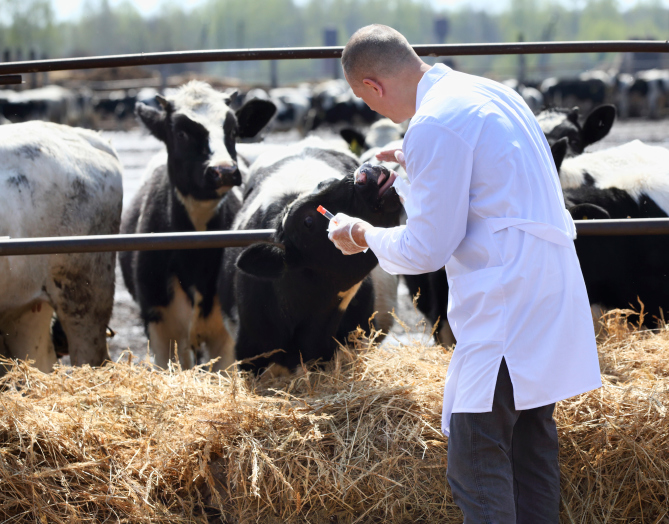 Univasf recebe inscrições para pós em Ciências Veterinárias