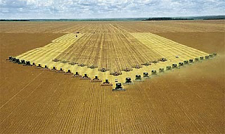 Os dois melhores cursos de Agronegócios do Brasil