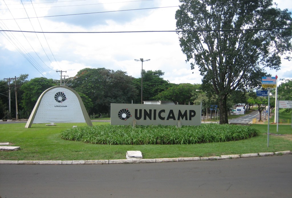 unicamp-2011