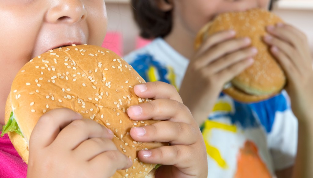 Análise de redação: Desafios do combate à obesidade infantil