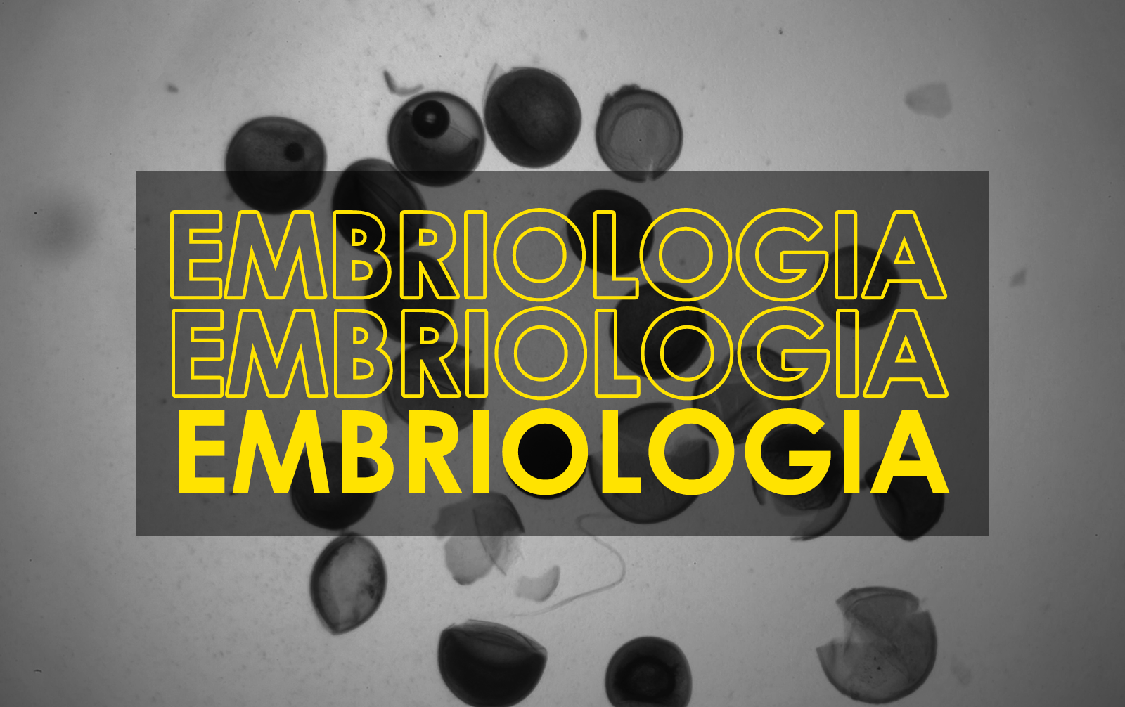 embriologia