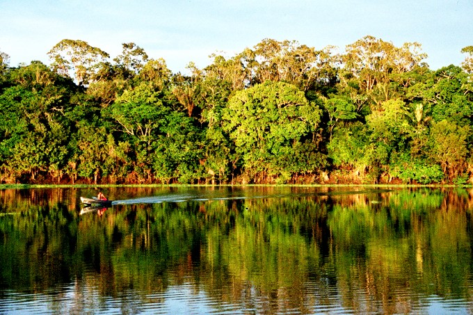 floresta amazonica