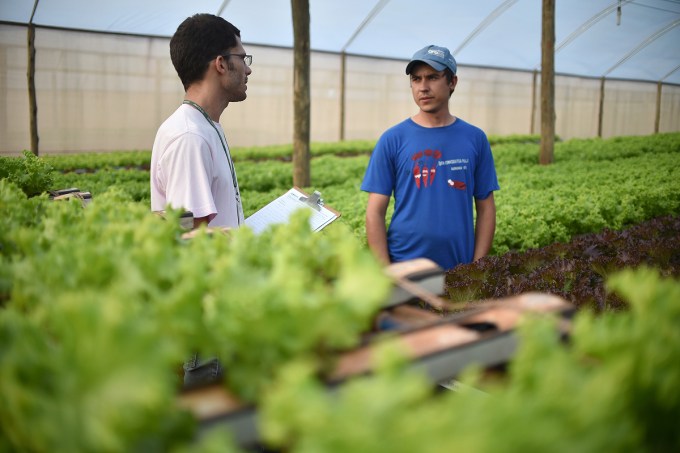 [orientação] Engenheiro agrônomo pode também atuar na área da Zootecnia?