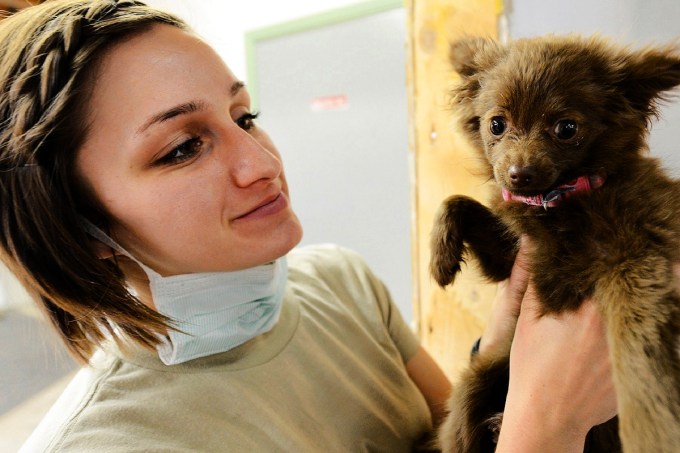 [Orientação] Quero ser veterinária de hospital, mas onde moro só tem clínica