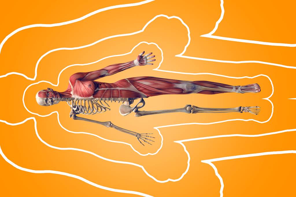 Quiz: curiosidades surpreendentes do corpo humano
