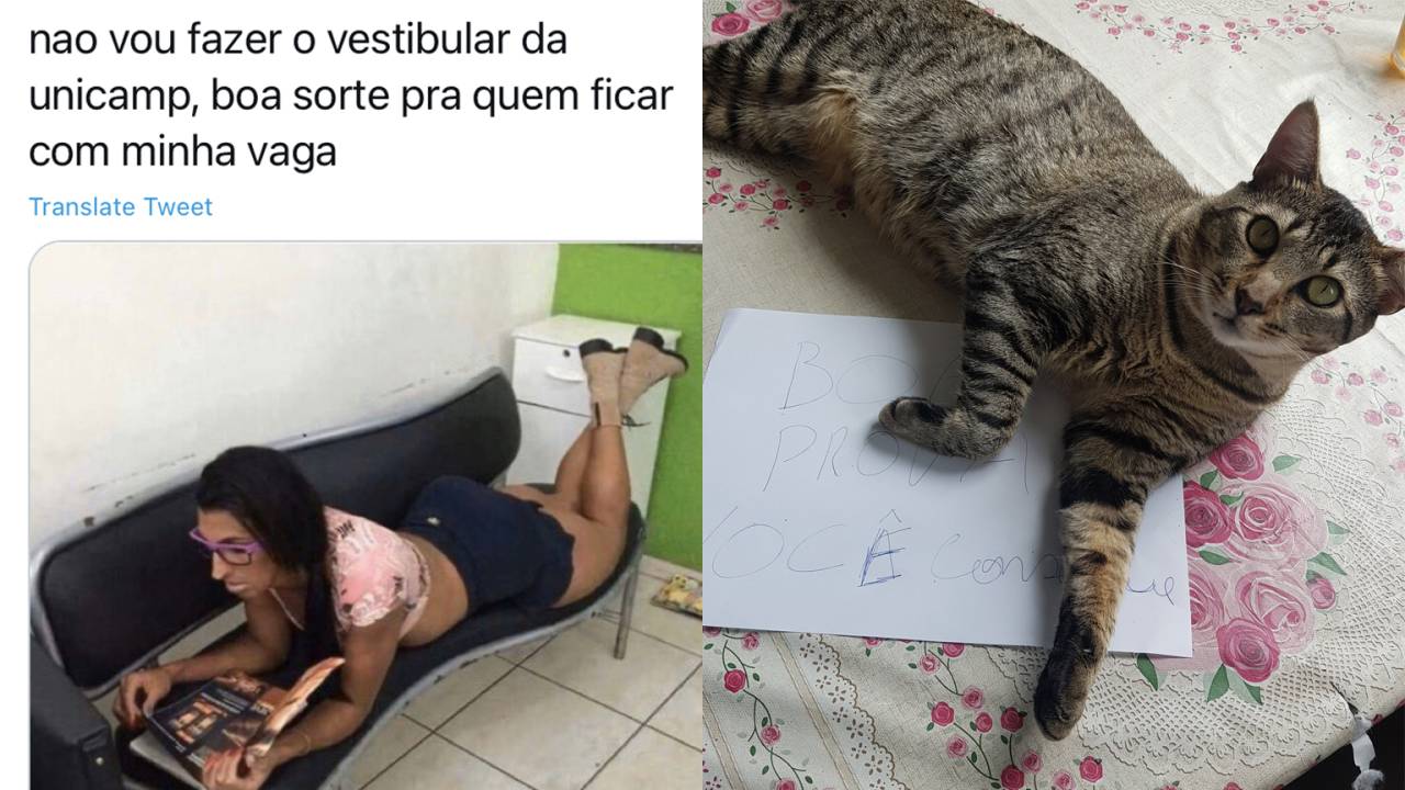 Memes Unicamp