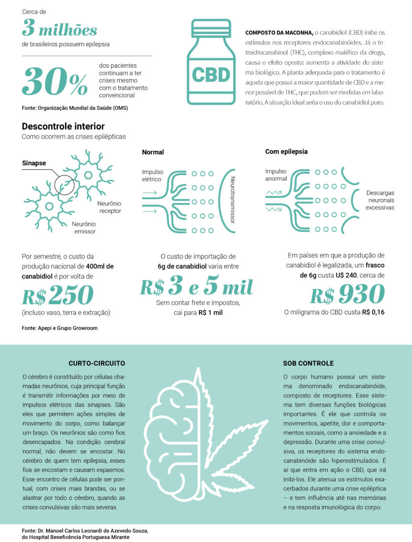 Infografico-Maconha-2 Raio-X do canabidiol