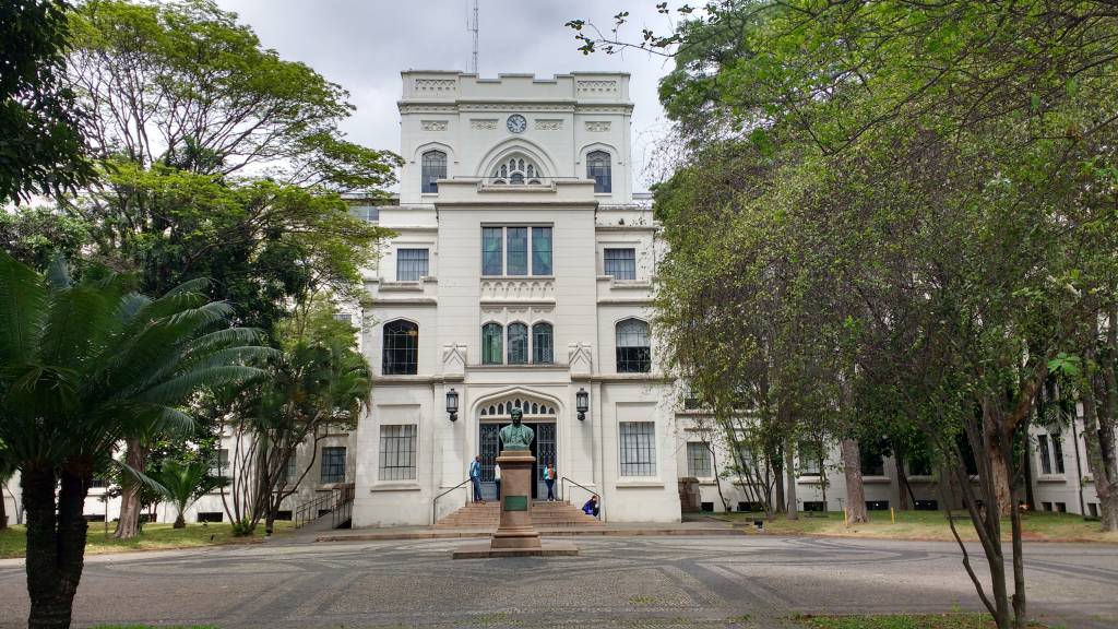 Cursinho da USP realiza evento online gratuito com dicas de redação