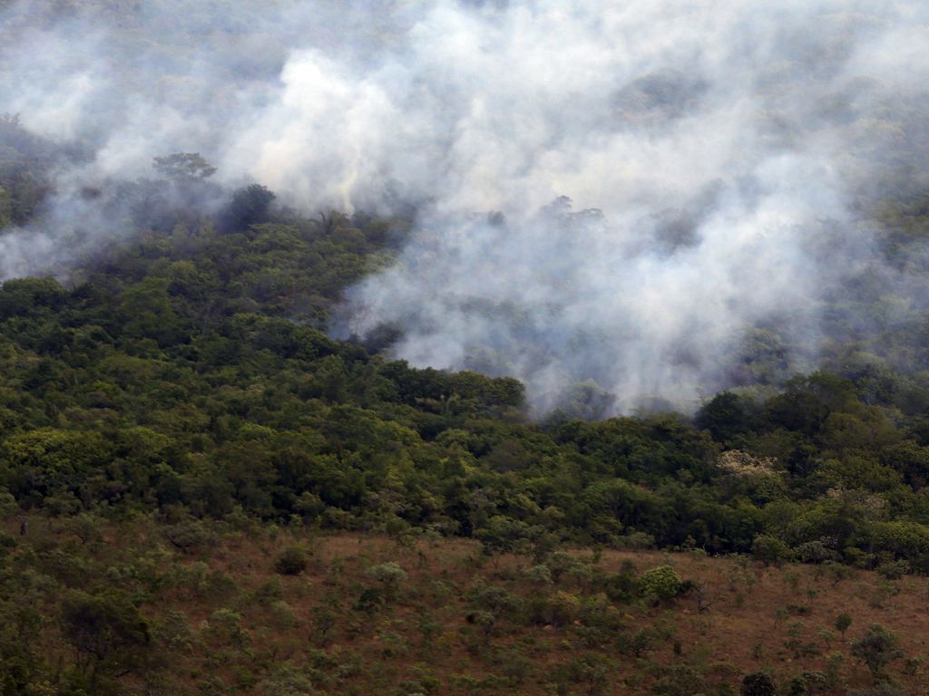 Queimada na Chapada dos Veadeiros