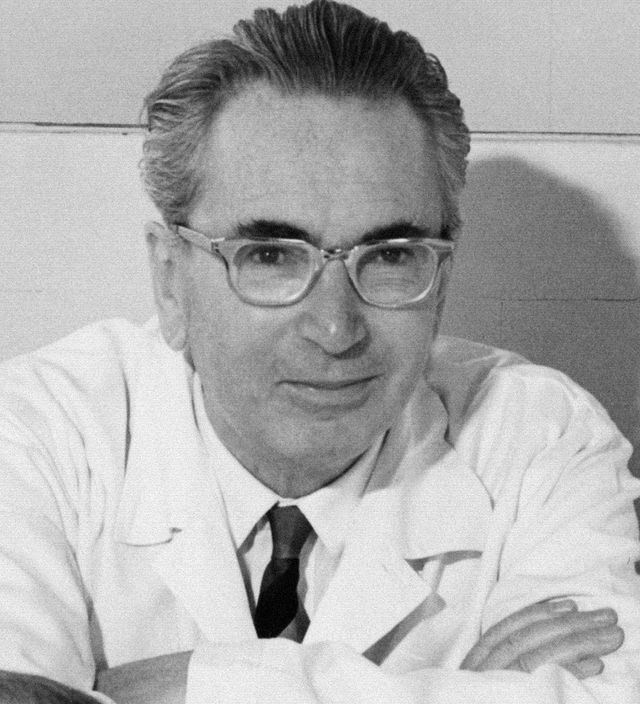 O psiquiatra Viktor Frankl foi o criador da vertente de pensamento terapêutico conhecida como logoterapia.