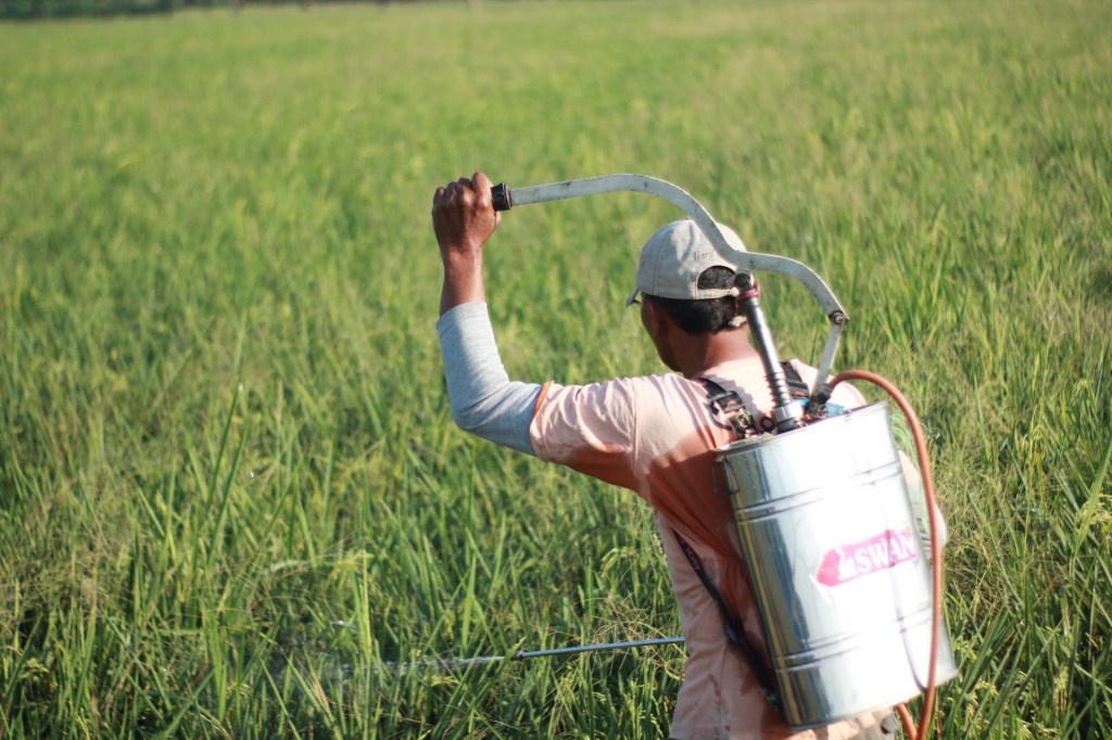 Enem 2023: agro cai novamente em questão do 2º dia; veja mais temas