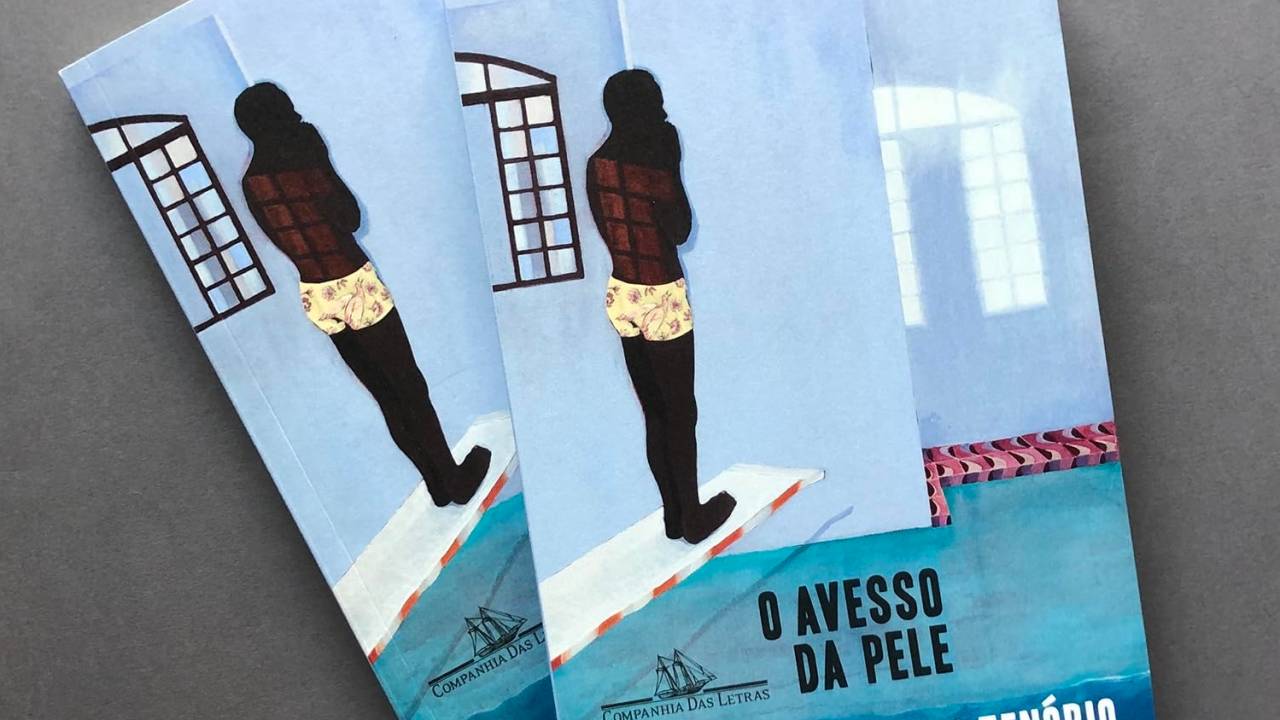 capa do livro avesso da pele