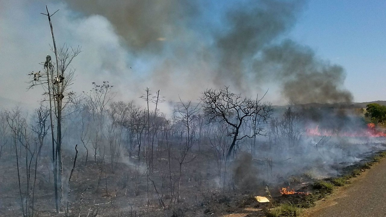 Cenário desolador no Cerrado, fogo e fumaça toma conta da vegetação