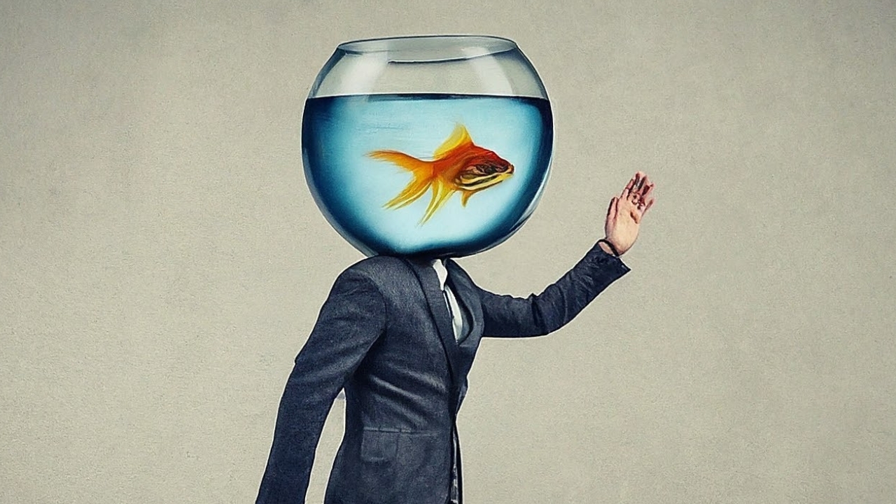Homem andando. No lugar de sua cabeça, porém, há um aquário redondo com um peixe-dourado dentro. Foto gerada por Inteligência Artificial.