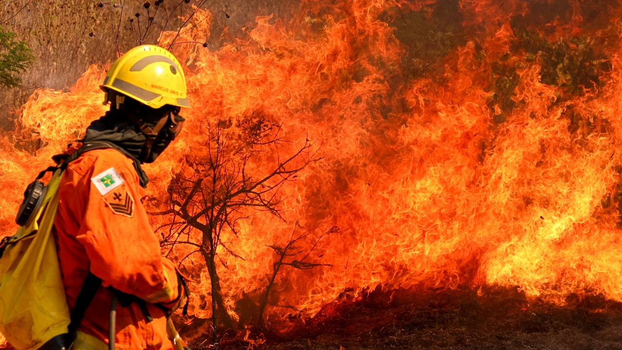 Brasília, DF. 15-09-2024. Um incêndio atingiu o Parque Nacional de Brasília. Bombeiros e populares tentavam conter as chamas